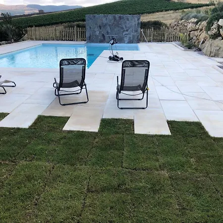 Minu Scopello