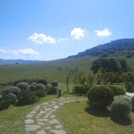 Minu Scopello